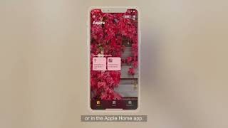 Aqara Water Leak Sensor Installation Video