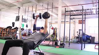 Chest DB Incline Bench 2