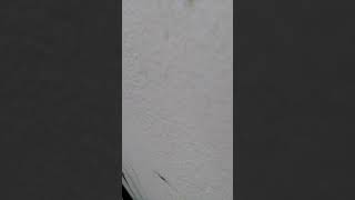 Hindi song