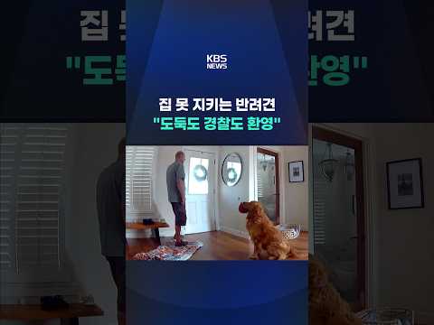 "도둑도 경찰도 환영해"…경비 점수는 빵점 엉뚱 반려견 #shorts / KBS