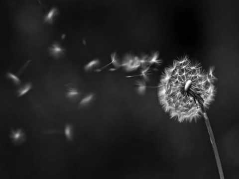 Sequentia pres Sunshade - Mistakes we`ve made (Original mix)