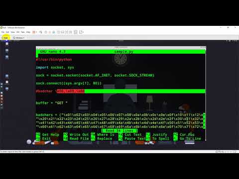 Controlling Program Execution | EIP Register Value Modification Buffer Overflow Attack For Beginner