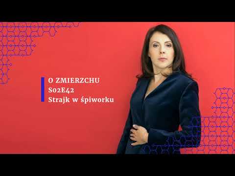 S02E42 Strajk w śpiworku - O Zmierzchu