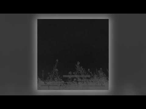 Diasiva - Exosome [Audio]