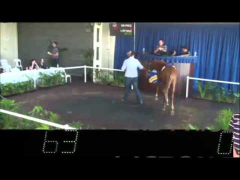 2012 Perth Autumn Thoroughbred Sale