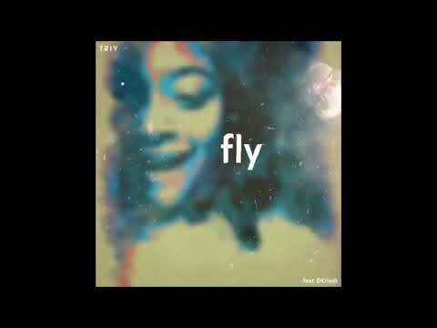 TRIV - Fly (ft. DKrissh)(Official Audio)