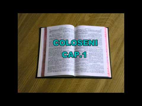 COLOSENI  CAPITOLUL 1
