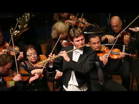 41J Beethoven Flute Concerto Op 61 originally for the Violin Karl Heinz