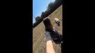 Chegg — Student Success