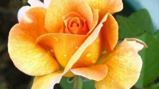 My Choice - Nana Mouskouri, Je n'ai jamais rien fait de si facile