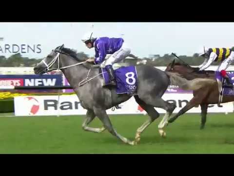 Rosehill Guineas  2018 - D'Argento / Tangled / Furore