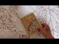 Toy Story DVD Overview 30th Anniversary Special
