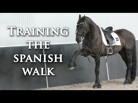 YouTube video about: What side do you walk a horse on?