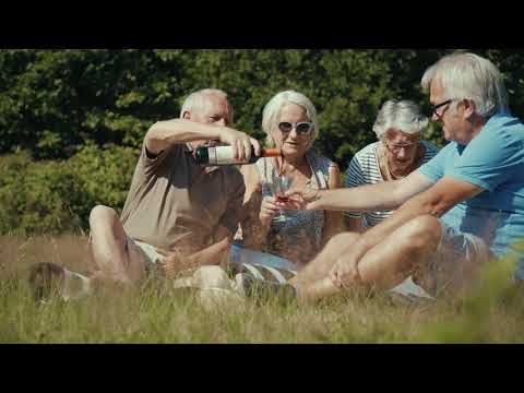 Het Muziekbos | Natuur en Bos