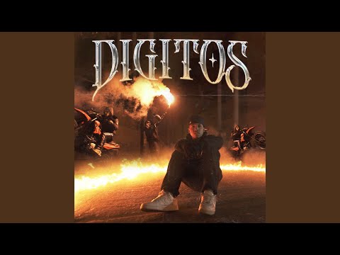 Dígitos
