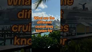 A comparison of cruise line experiences. They all have something to offer guests. #cruise