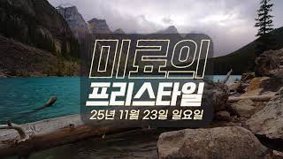 미료의 프리스타일 2025년 11월 23일 일요일