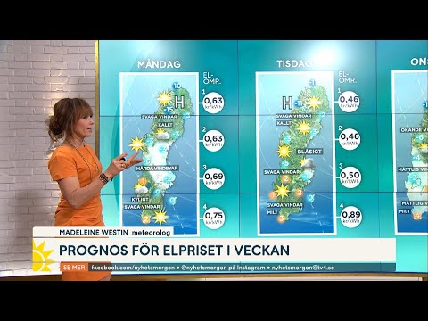 Glädjebeskedet: Stabila elpriser väntas framöver | TV4 Nyheterna | TV4 & TV4 Play