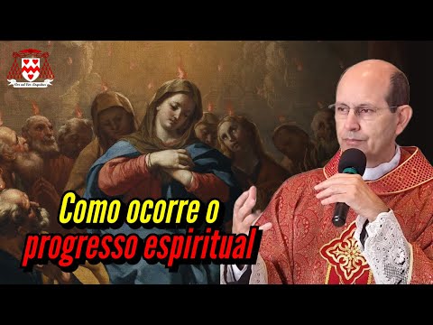 The action of the Holy Spirit and spiritual progress — Father Paulo Ricardo