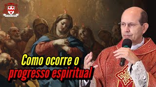The action of the Holy Spirit and spiritual progress — Father Paulo Ricardo