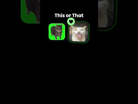 #cat filter #dance #funny #techno #funny #goat #funny #techno #funny #goat