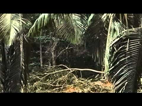 Tangisan Cucu Cit Cik Siti Wan Kembang [ Dialek Kelantan ]