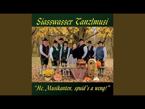 Waldinger Boarischer ("Trink Ma No a Flascherl Wein")