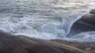 HOJE, AMANHÃ E SEMPRE - BRISA DO MAR