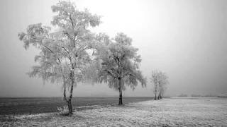 Lost in the Snow - Lost in the Trees