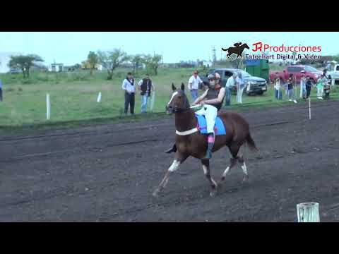 16-08-26 - Video ganador Don Mingo - Hipico "Municipal" Mercedes - Ctes.
