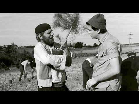 נטיעות סאלח שבתי