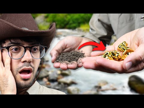 I Bought Gold Pay Dirt And Made $______