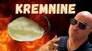 Kremnine Chile Review  - Borg 9 Peach Pepper X Creamo from Refining Fire Chiles