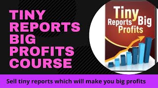How To Quickly & Easily Create And Sell Tiny Reports For Big Profits