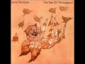 James Yorkston - The Year Of The Leopard 