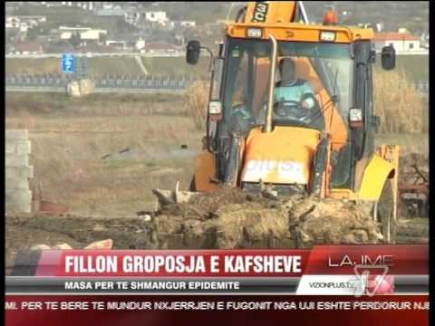 News Edition in Albanian Language - 6 Shkurt 2015 - 19:00 - News, Lajme - Vizion Plus