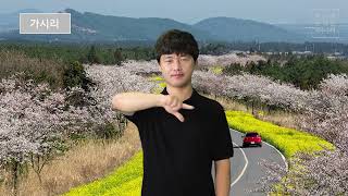 가시리