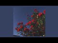 Ex S And Oh S Elle King Slowed Reverb
