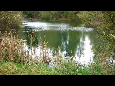 Đừng hát khi buồn - Thu Phương