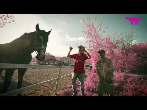 Ozzy Baby ft. Młody Dron - Playmaker prod. Syru Baby