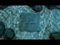 Underwater Logo Logo Animation
