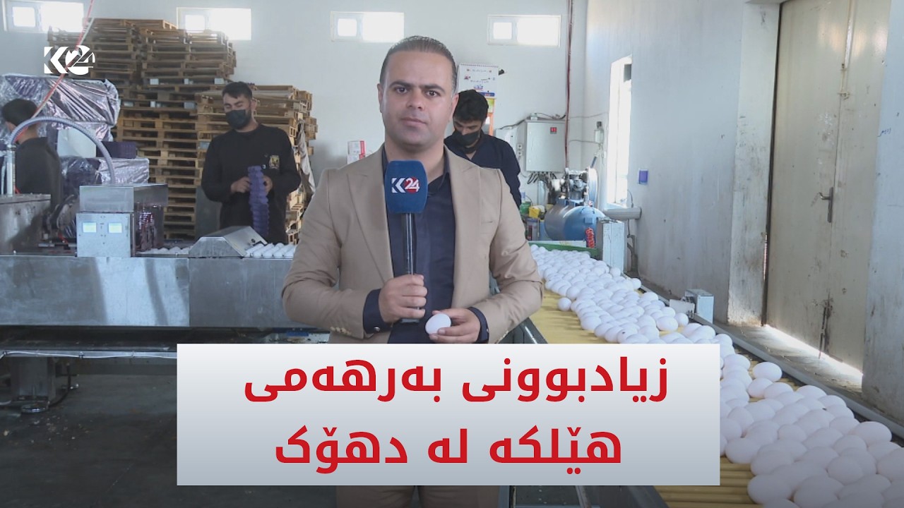 ڤیدیۆ | زیادبوونی بەرهەمی هێلكە لە پارێزگای دهۆک