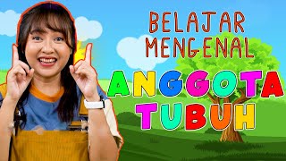 Download lagu Mengenal ANGGOTA TUBUH untuk Balita dan Anak Anak dengan lagu lagu interaktif | Hai Kids mp3 Download lagu Mengenal ANGGOTA TUBUH untuk Balita dan Anak Anak dengan lagu lagu interaktif | Hai Kids mp3