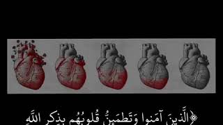 Download lagu Allazina Aamanu Wa Tatmainnu Qulub mp3