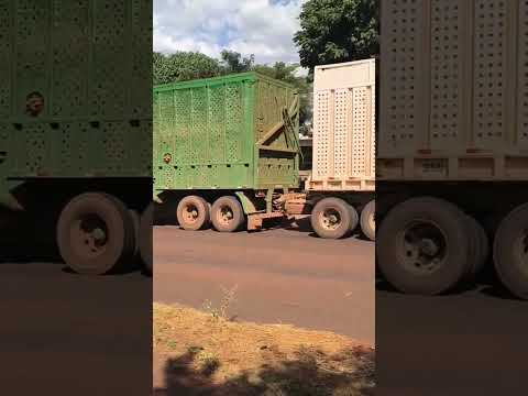 usina bazan em Pontal São Paulo