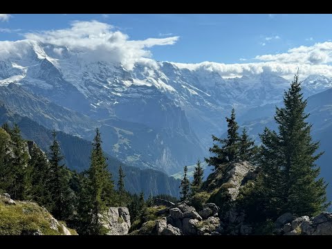 Privesc cum alta data - Nicu Procopoi