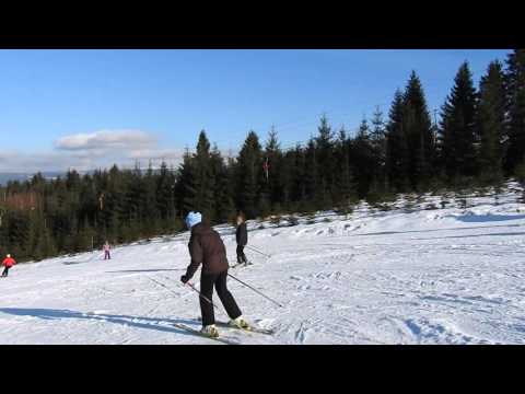 Any schiaza-pirtia Bradul Toplita