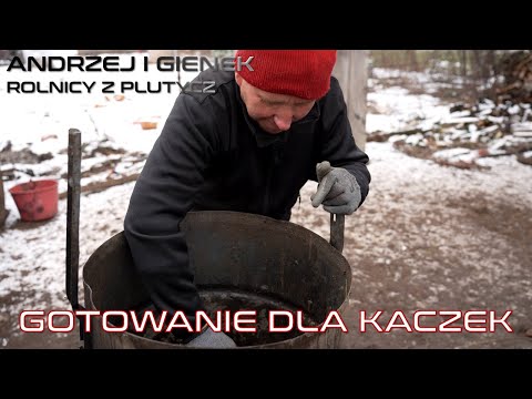 , title : 'Gotowanie dla kaczek w parniku Andrzej z Plutycz Rolnicy z Podlasia'