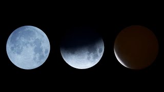 2021 Lunar Eclipse Under 2 Minutes Timelapse - Beaver Moon | 2021 Full Moon