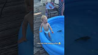 Children and fish: who is more anxious? #foryou #funny #usa #fyp 